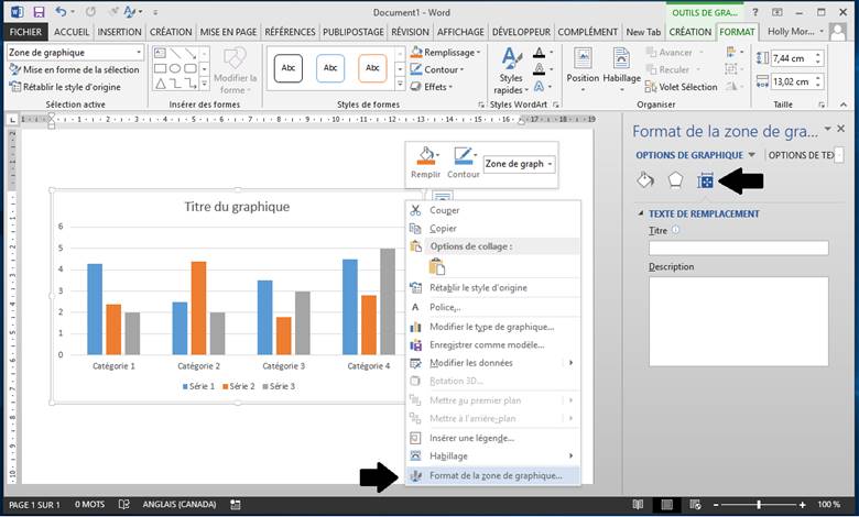 Capture d’écran du Menu Format de la zone de graphique